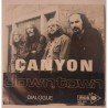 Canyon - Downtown