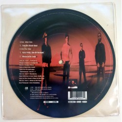Soundgarden (picturedisc) - Fell On Black Days