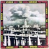 Red Hot Chili Peppers - Under The Bridge