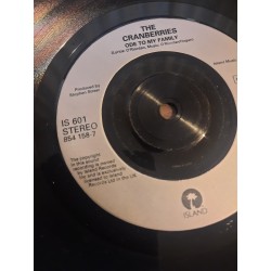 The Cranberries - Ode To My Family