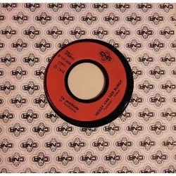 Reggy van der Burgt - Superboy / De Postbode