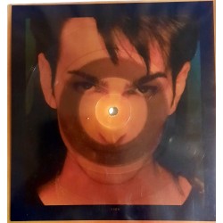 Picturedisc van King - Torture