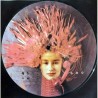 Picturedisc van Tori Amos - God