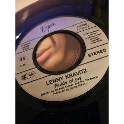 Lenny Kravitz - Fields of Joy