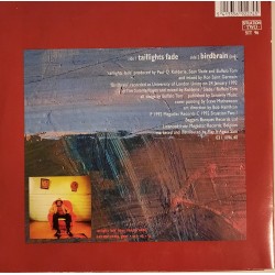 Buffalo Tom - Taillights Fade