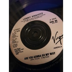 Lenny Kravitz - Are you gonna go my way