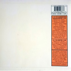 Shaggy - In the summertime