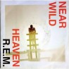 R.E.M. - Near Wild Heaven