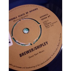 Brewer and Shipley - An Incredible State Of Affairs