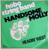 Hobo String Band - Handsome Molly