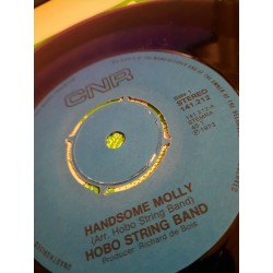 Hobo String Band - Handsome Molly