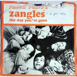 Meester Pieter met Flashpoint 6 - Zangles