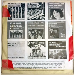 The Sunshines - Waarom m'n Schat