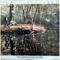 Peter Koelewijn- De sprong in het duister
