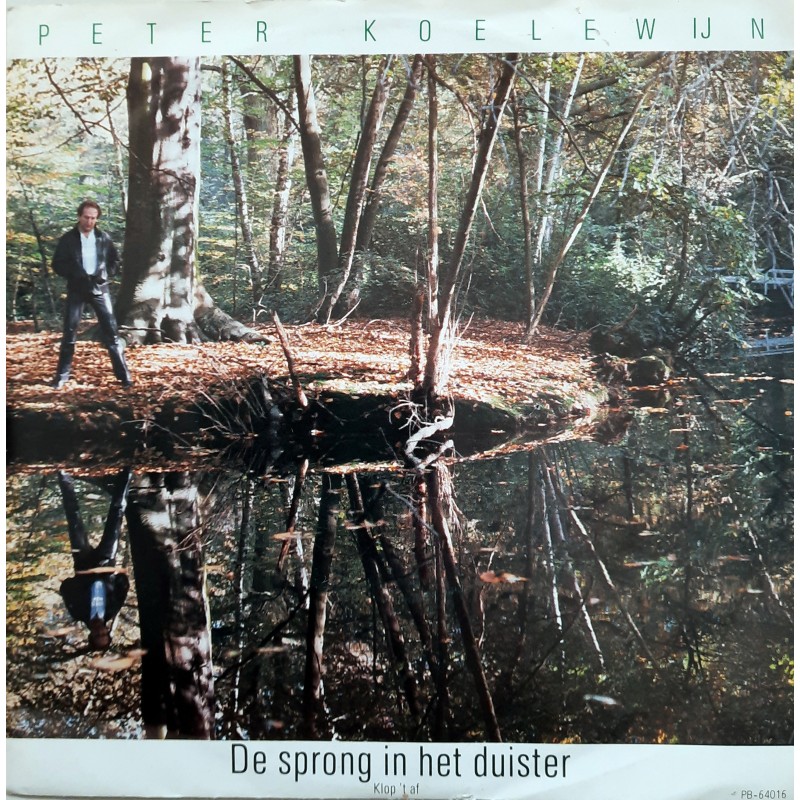 Peter Koelewijn- De sprong in het duister