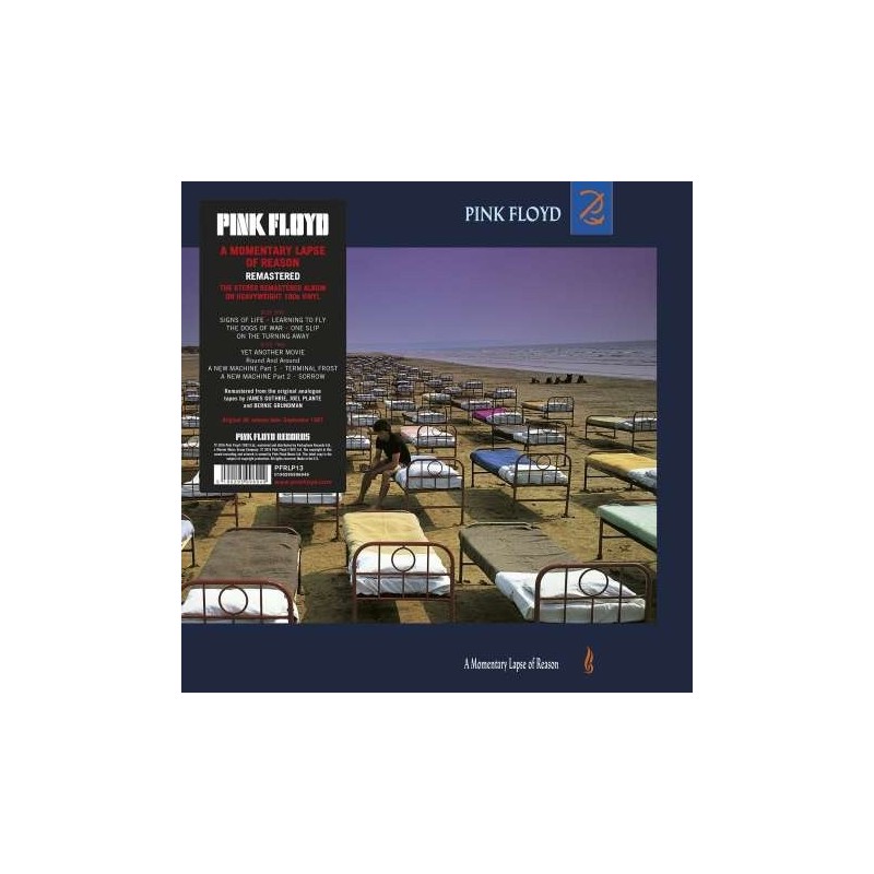 Pink Floyd - A Momentary Lapse of Reason (remastered)