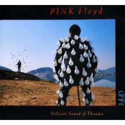 Pink Floyd - Delicate sound of thunder