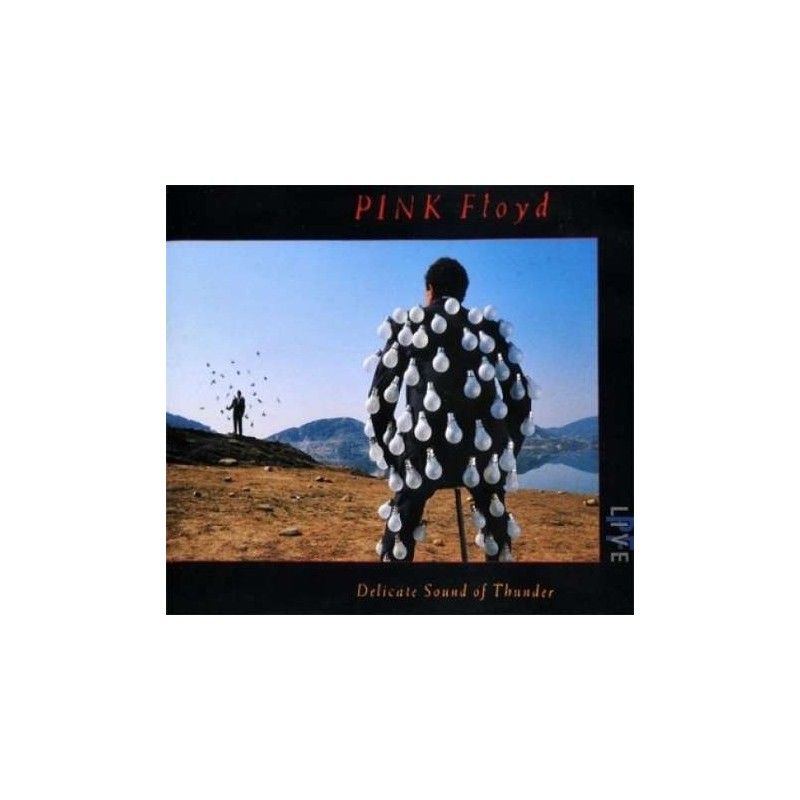 Pink Floyd - Delicate sound of thunder