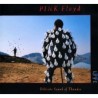 Pink Floyd - Delicate sound of thunder