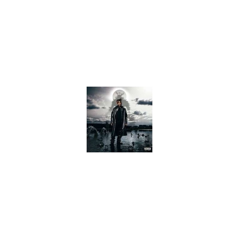 Juice WRLD - Fighting Demons