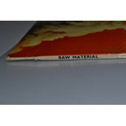 Raw Material - Evolution Z1006