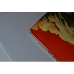 Raw Material - Evolution Z1006